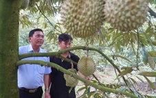 Năm 2026 Đồng Tháp sẽ thí điểm áp dụng hệ thống truy xuất nguồn gốc nông sản