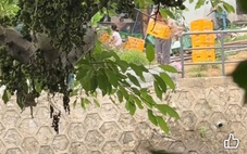 Xác minh clip người đàn ông đổ vỏ chai thủy tinh xuống sông Kẻ Vạn ở Huế