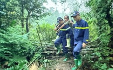 Tìm thấy người đàn ông đi lạc trong rừng suốt 4 ngày
