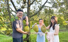 Sầu riêng ở đất đảo Phú Quốc giá cao, hút hàng