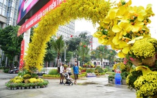 Sở Xây dựng TP.HCM: Tận dụng đất trống ở các phường làm tạm công viên, vườn hoa