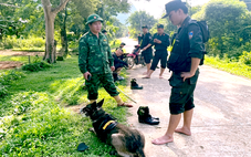 Hơn 100 người cùng chó nghiệp vụ vây ráp vùng rừng biên giới truy bắt nghi phạm giết vợ cũ