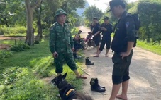 Hơn 100 người cùng chó nghiệp vụ vây ráp vùng rừng biên giới truy bắt nghi phạm giết vợ cũ