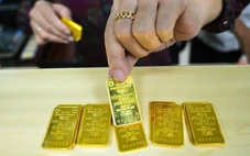 SJC lãi hơn 1,1 tỉ đồng mỗi ngày dù doanh thu thấp nhất 10 năm