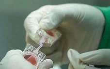 Trung Quốc đưa 'phôi nhân tạo' lên vũ trụ, nghiên cứu việc sinh con ngoài Trái đất