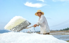 Diêm dân 'cõng nắng' mưu sinh trên cánh đồng muối cuối cùng dưới chân đèo Ngang