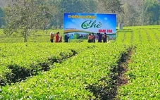 Từ 'chảo lửa, túi mưa' đến nông nghiệp kết hợp du lịch trải nghiệm tại Hà Tĩnh