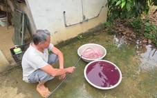 Vụ nước giếng đổi màu tím ở Thanh Hóa: Xử phạt doanh nghiệp hơn 1,5 tỉ đồng