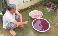 Vụ nước giếng đổi màu tím ở Thanh Hóa: Xử phạt doanh nghiệp hơn 1,5 tỉ đồng