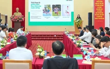 Phát triển thế hệ trẻ toàn diện: Từ giáo dục đến thể chất