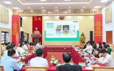 Phát triển thế hệ trẻ toàn diện: Từ giáo dục đến thể chất