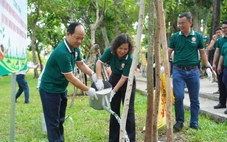 Trồng thêm cây xanh tại công viên Lê Văn Tám, vỉa hè đường Hoàng Sa dịp 50 năm TP.HCM mang tên Bác