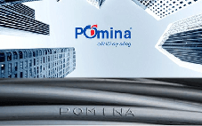 Báo cáo tài chính hé lộ 'mối quan hệ' giữa Vingroup và Pomina