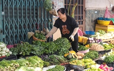 Hơn 963.000 người nộp thuế 'bỏ' địa chỉ kinh doanh, vì sao?