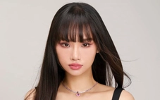 Miu Lê bị khởi tố, tạm giam: Công ty quản lý khẳng định không bao che