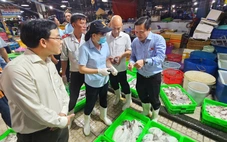 Doanh nghiệp thực phẩm gặp khó với hồ sơ tự công bố