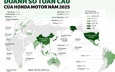 Honda báo lỗ: cái giá của giấc mơ xe điện