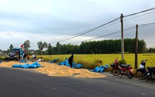 Đừng để 'cái sảy nảy cái ung'