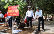 Y tế biển đảo: ‘Giữ sức khỏe nơi đầu sóng để bảo vệ chủ quyền từ sớm, từ xa’