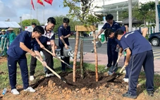 Sinh viên cùng phủ xanh quảng trường sáng tạo Đại học Quốc gia TP.HCM