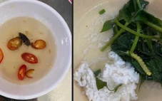 Vụ bữa ăn tập thể của sinh viên Đại học Huế nghi có gián, dòi và sâu: Cơ sở nấu ăn xin lỗi