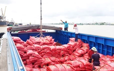 Giá gạo xuất khẩu Việt Nam tăng trở lại