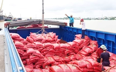 Giá gạo xuất khẩu Việt Nam tăng trở lại