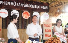 Phó chủ tịch tỉnh livestream bán vải thiều sớm, 'mát tay' chốt đơn hơn 31 tấn