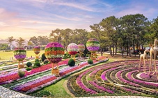 TTC World - Thung lũng Tình Yêu ra mắt chuỗi trải nghiệm khuấy động mùa hè