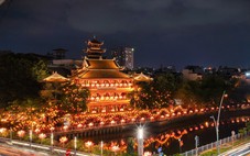 Chùa Pháp Hoa rực rỡ mùa Phật đản 2026