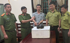 Mua rắn hổ mang chúa từ người lạ trên mạng, người đàn ông bị bắt