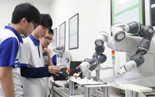 Giảng viên đồng cơ hữu trong trường đại học công lập phải có trình độ tiến sĩ