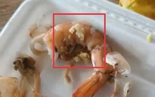 Trường mầm non bị phản ánh thức ăn có giòi, chính quyền kiểm tra