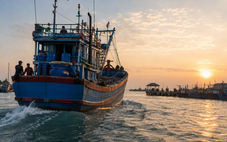 Tàu cá ra khơi nhưng không đánh bắt, đợi đủ ngày về nhận tiền dầu: Cục Thủy sản và Kiểm ngư vào cuộc