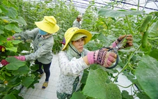 Làm nông thời công nghệ: nhìn trời, nhìn đất và... lo hết pin