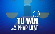 Cha mẹ là người Việt, con sang Mỹ từ nhỏ chưa làm giấy khai sinh, giờ làm thế nào?