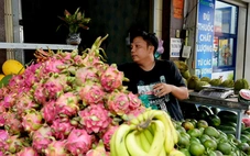 Nhiều loại trái cây 'rẻ như cho', nhà vườn lại 'khóc ròng'