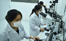 Dùng AI trong nghiên cứu phải khai báo rõ, không được tạo dữ liệu giả