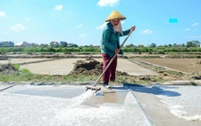 Mồ hôi mặn trên cánh đồng muối dưới chảo lửa 40 độ