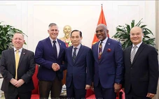 'Việt Nam không có chính sách tạo dư thừa công suất sản xuất công nghiệp'