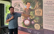 Ông Lê Minh Hoan chia sẻ việc bán măng cụt, 'bán' luôn người trồng măng cụt