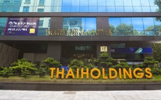 Điều gì khiến cổ phiếu của Thaiholdings tăng 15 phiên liên tiếp?