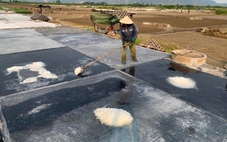 Nhọc nhằn nghề làm muối giữa trời nắng như đổ lửa
