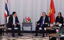 Các tập đoàn Thái Lan muốn rót vốn vào năng lượng, công nghiệp xanh, bán lẻ cao cấp tại Việt Nam