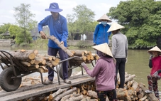 Lênh đênh chợ củi Ngã Bảy