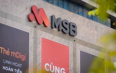 Vì sao cổ phiếu MSB bất ngờ tiến sát vùng đỉnh lịch sử?