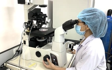 Học tiến sĩ ở Đại học Quốc gia TP.HCM có thể nhận hỗ trợ hơn nửa tỉ đồng