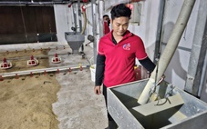 Từ cánh đồng xanh tới trang trại xanh