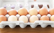 Trứng bị nứt vỏ: Phải vứt bỏ hay ăn?