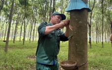 20 năm thành viên Câu lạc bộ 2 tấn/ha